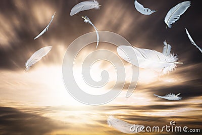 Abstract A White Bird Feathers Flying in The Sunset Sky. Feathers Floating in Dreaming Heavenly Stock Photo