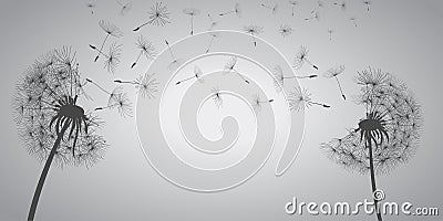 Abstract white dandelions, dandelion with flying seeds - vector Stock Photo