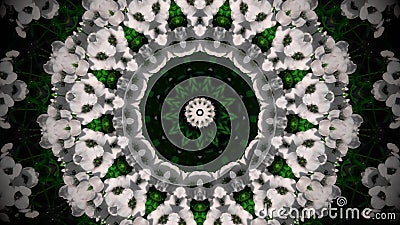 Abstract white flower mandala Stock Photo