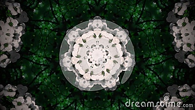 Abstract white flower mandala Stock Photo