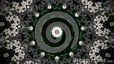 Abstract white flower mandala Stock Photo