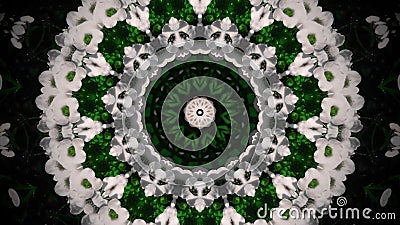 Abstract white flower mandala Stock Photo