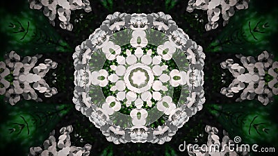 Abstract white flower mandala Stock Photo