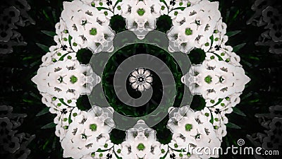 Abstract white flower mandala Stock Photo