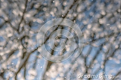 Abstract winter background, snowflakes and snowing time Stock Photo