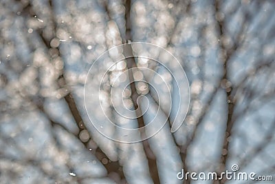 Abstract winter background, snowflakes and snowing time Stock Photo