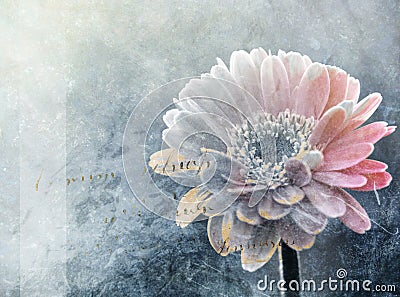 Abstract winter flower digital painting Stock Photo