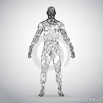 Abstract Wire frame human body. Polygonal 3d model on white background Vector Illustration