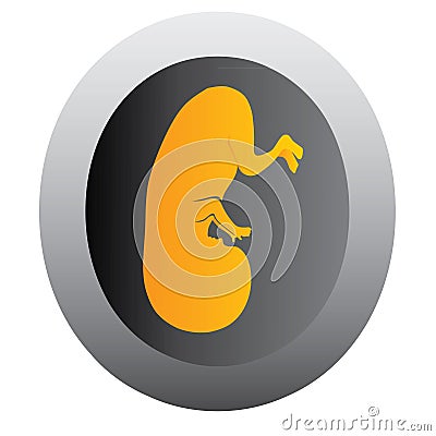 Abstract womb Vector Illustration