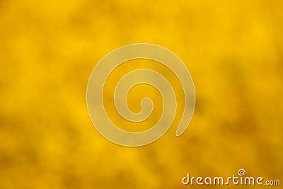 Abstract yellow background or gold Christmas background with bright center spotlight Stock Photo