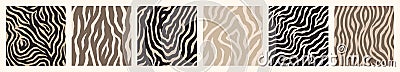 Abstract Zebra Seamless Patterns Set in Trendy Neutral Beige Colors. Vector Minimal Tiger Stripes Vector Illustration