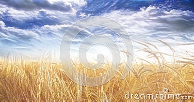 Abstracted Field and Sky Stock Photo
