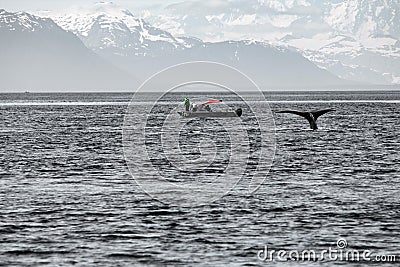 An abstraction of the landscape of the Glacier Bay with the Fluke of an Humpback and a little boat - Alaska Stock Photo