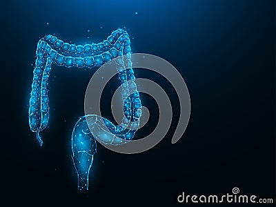 Abstraction polygonal vector illustration of the colon or large intestine on a dark blue background Vector Illustration