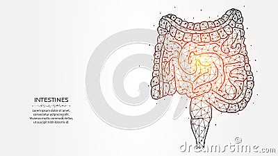 Abstraction polygonal vector illustration of the intestines Vector Illustration