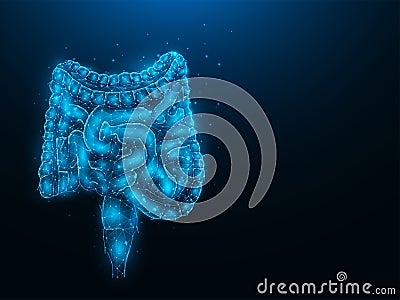 Abstraction polygonal vector illustration of the intestines on a dark blue background Cartoon Illustration