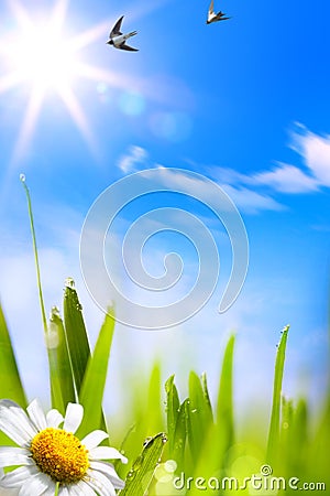Abstracts beautifu spring background Stock Photo
