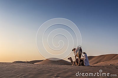 ABUDHABI/UAE - 13DEZ2018 - Camels in the desert of Abu Dhabi with their trainer. UAE Editorial Stock Photo