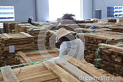 Acacia timber log raw material Editorial Stock Photo