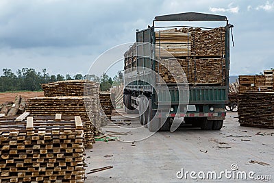 Acacia timber raw material Stock Photo
