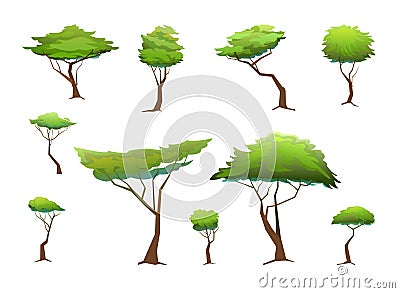 Acacia trees set. Africa savanna plants. African landscape. Isolated on white background. Vector Vector Illustration