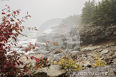 Acadia National Park rocky coast Stock Photo