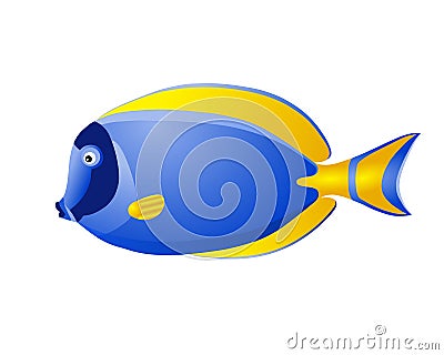 Acanthurus cute aquarium tropical fish Stock Photo