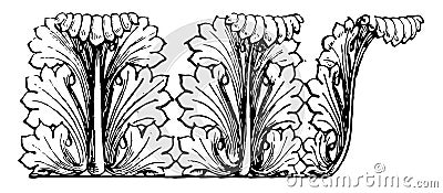 Acanthus is small herbaceous plants of southern Europe vintage engraving Vector Illustration