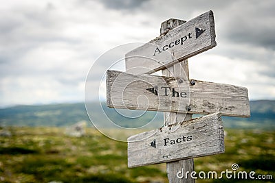 accept the facts text engraved on old wooden signpost outdoors in nature Cartoon Illustration