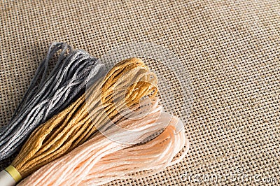 Accessories for hobbies: different colors of thread for embroidery Stock Photo