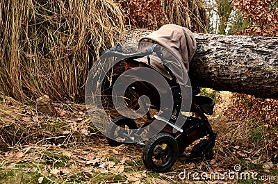 Accident in the woods fell a tree to mom with a pram. a large spruce sprang up with its roots and fell on the child. tree lies on Stock Photo