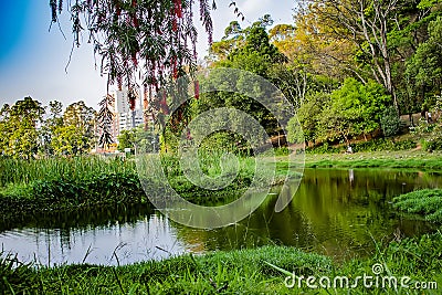 Acclimatization park in sao paulo brazil landscape in the middle of the city Stock Photo