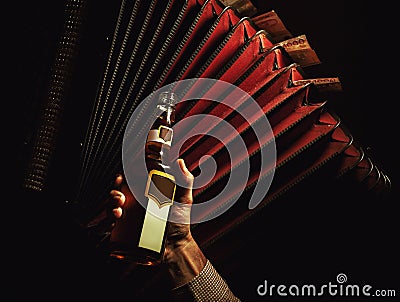 Accordion With Serbian Money and Bottle of Drink. Stock Photo