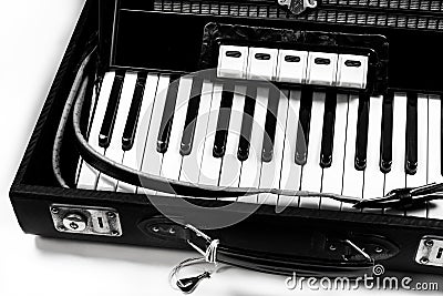 Accordion on a white background Stock Photo