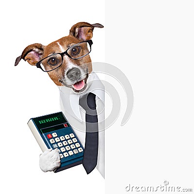 Accountant dog Stock Photo