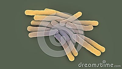 Accumulation of tuberculosis bacteria Cartoon Illustration