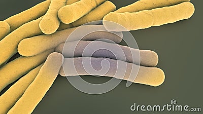 Accumulation of tuberculosis bacteria Cartoon Illustration
