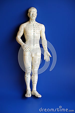 Accupressure mannequin Stock Photo