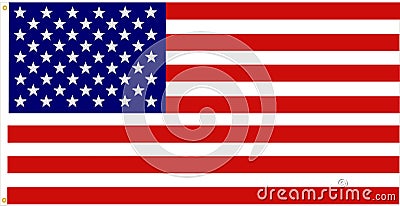 Accurate American Flag Vector Illustration