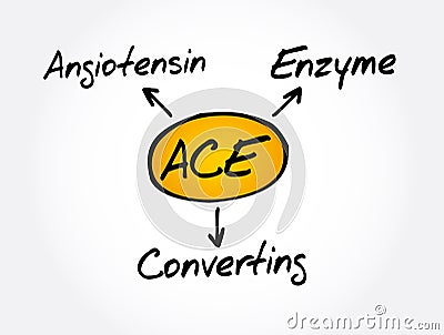 ACE - Angiotensin Converting Enzyme acronym concept Stock Photo