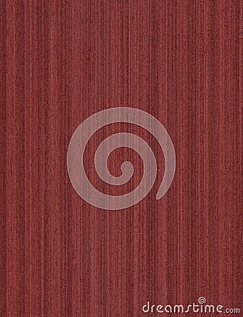 Acero mapletop view wooden wall material burr surface texture background Pattern dark red brown color build construction architect Stock Photo