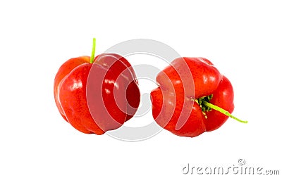 Acerola Stock Photo