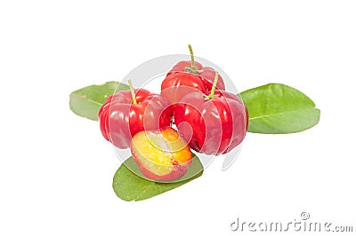 Acerola Stock Photo