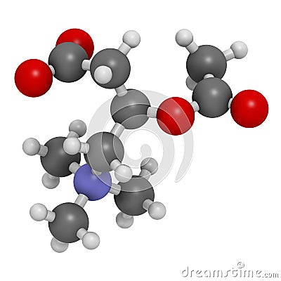 Acetylcarnitine (ALCAR) nutritional supplement molecule. Atoms are represented as spheres with conventional color coding: hydrogen Stock Photo