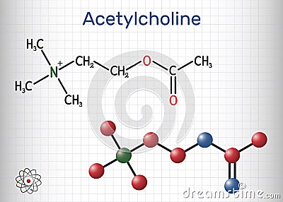 Acetylcholine, ACh molecule. It is parasympathomimetic neurotransmitter, vasodilator agent, hormone, human metabolite. Structural Vector Illustration