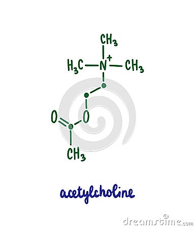 Acetylcholine hand drawn vector formula chemical structure lettering blue green Vector Illustration