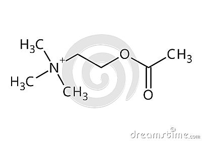 Acetylcholine structural formula of molecular structure Vector Illustration