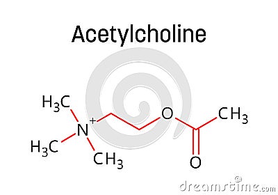 Acetylcholine structural formula of molecular structure Stock Photo