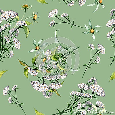 Achillea yarrow, nettle, bidens beggarticks watercolor seamless pattern isolated on green. Medicinal flowers painted Stock Photo