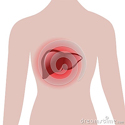 Aching liver in a human body Vector Illustration